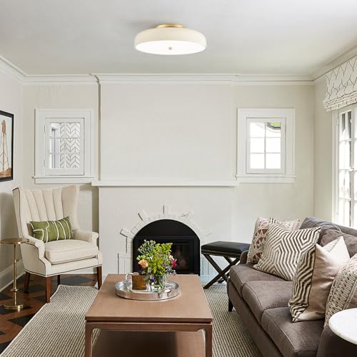 Dimmable LED Ceiling Light Fixture