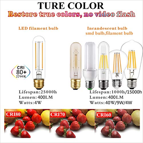 T10 Led Bulb Dimmable (6 Count)