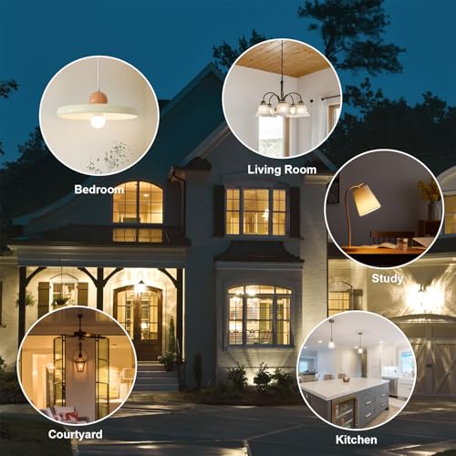 24 Pack A19 Light Bulbs Warm White 3000K 60 Watt Equivalent Led Light Bulb (24 Count)