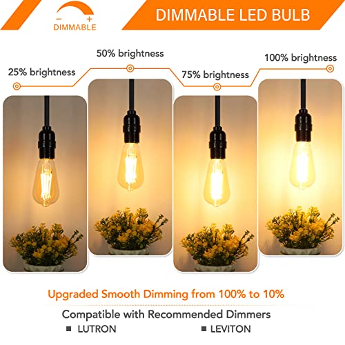 Dimmable Vintage LED Edison Bulbs 60W Equivalent 6W 850 Lumens (12 Count)