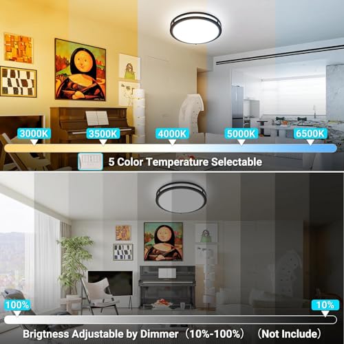 10 Inch Flush Mount Ceiling Lights