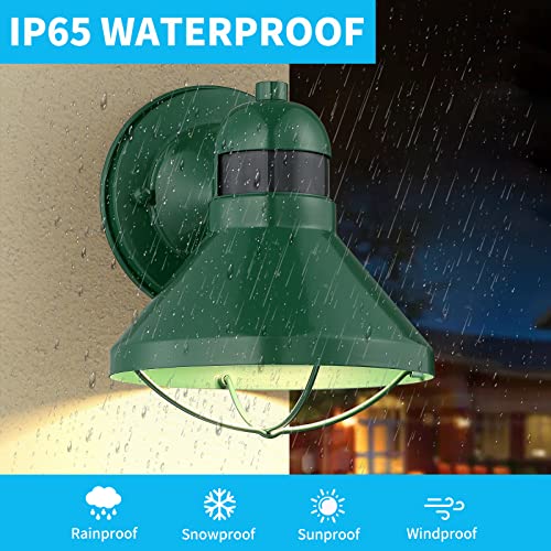 Dusk to Dawn Motion Sensor LED Outdoor Wall Light Fixture Green