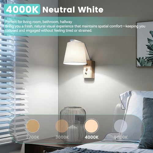 A19 Dimmable LED Bulbs (4 Count)