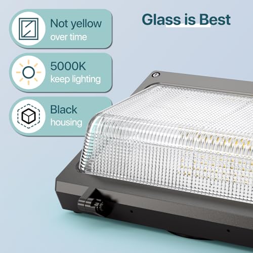 LED Wall Pack Light (2 Count)