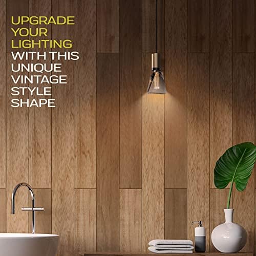 Decorative Light Bulb Eq 20W ICE Style Shaped E26 Led Bulb Medium Base (2 Count)