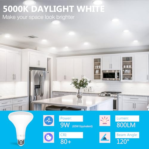 12Pack BR30 LED Light Bulbs Indoor Flood Light 65W Equivalent