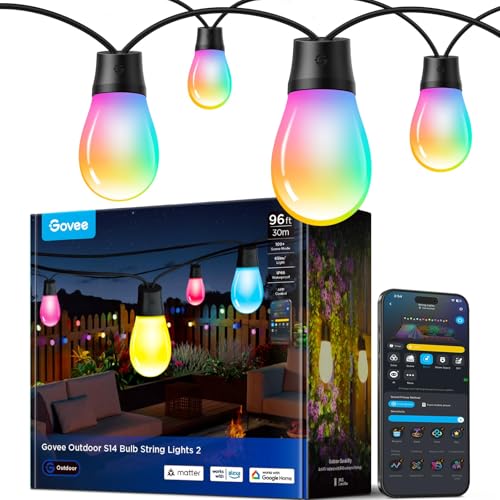 S14 Bulb Outdoor String Lights 2 (96 Foot)