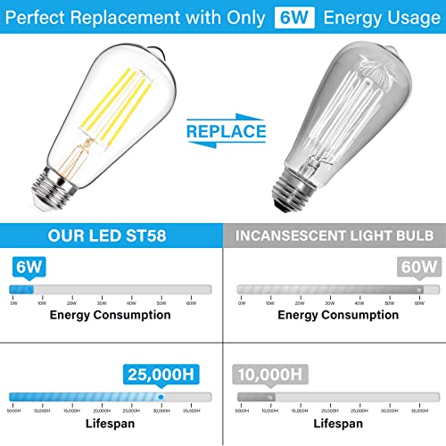Vintage LED Edison Bulbs 60 Watt Equivalent (12 Count)