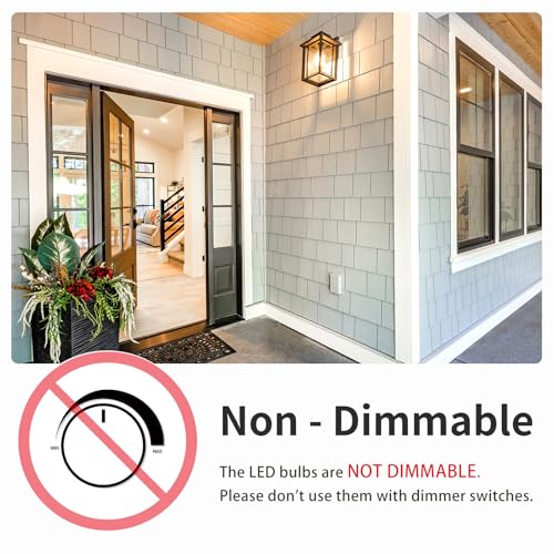 6 Pack A19 LED Light Bulbs (6 Count)