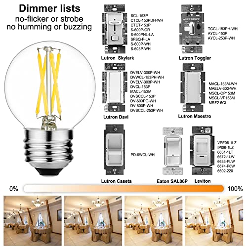 G16.5 E26 Light Bulb (6 Count)