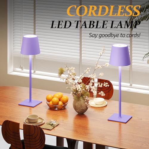 2 Pack Cordless Table Lamps