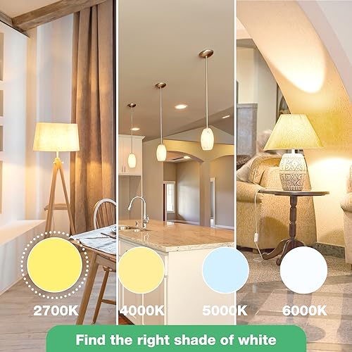 A19 LED Light Bulbs (36 Count)