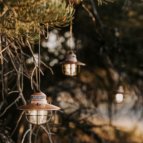 Edison Pendant String Lights
