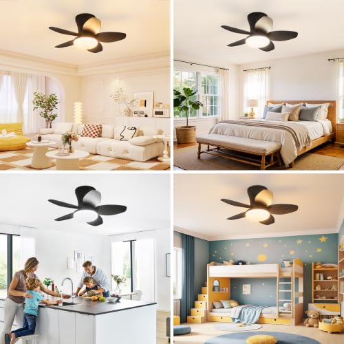 Small Ceiling Fan with Lights (25 Inch)