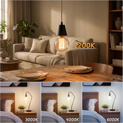 Dimmable Edison Bulb E26 Vintage Round LED Light LowLumen Clear G80