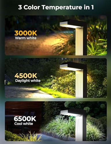 Solar Pathway Lights Outdoor (8 Count)