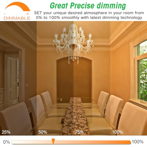 24 Pack Dimmable E12 Candelabra Bulbs 40Watt Equivalent (24 Count)