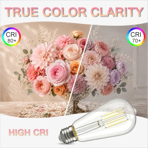 Vintage Edison LED Light Bulbs (4 Count)