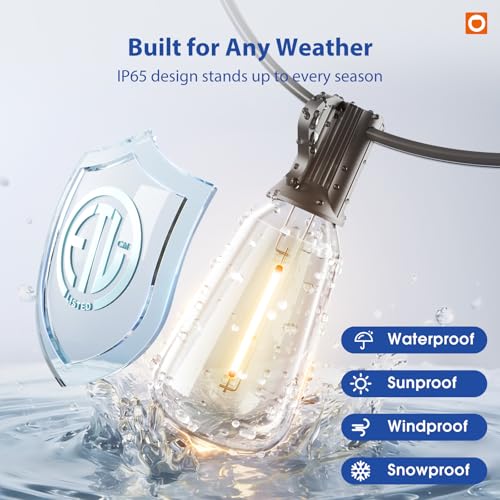100FT Outdoor String Lights ST38 LED with Remote Waterproof Dimmable (100 Foot)