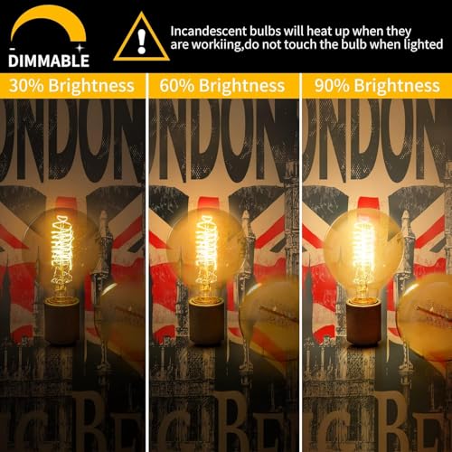 G80 Globe Edison Light Bulb (6 Count)