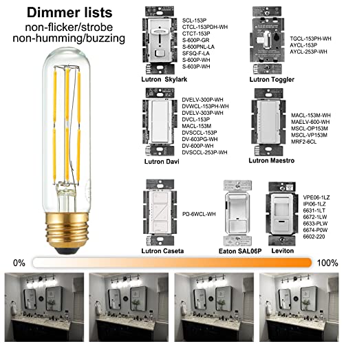 T10 E26 Bulb Edison Light Bulbs (6 Count)