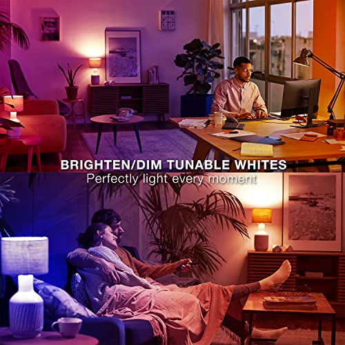 Smart Light Bulbs (10 Count)