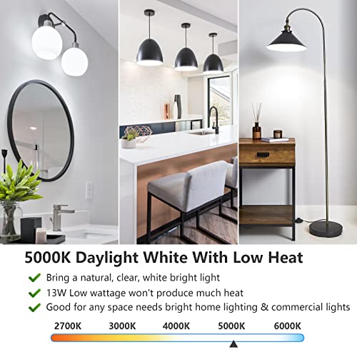 A19 LED Light Bulbs (20 Count)