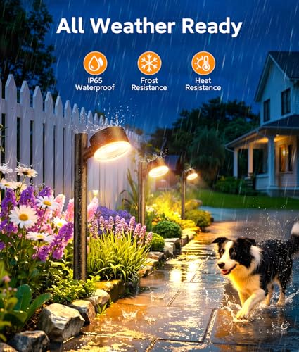 8 Pack Solar Pathway Lights Outdoor (8 Count)