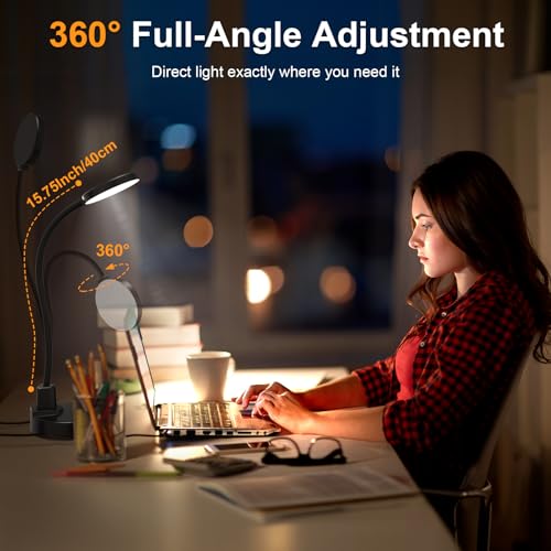15W LED Desk Lamp with USB Charging Ports