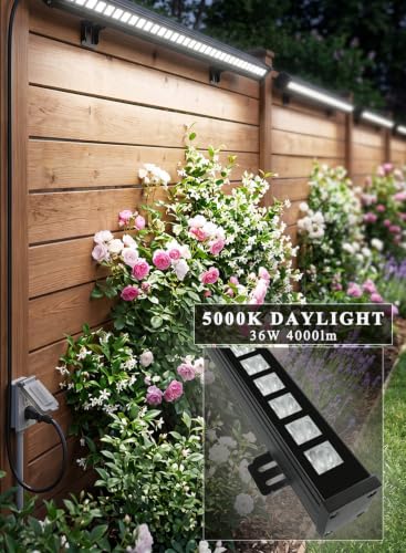 36W LED Wall Washer Light