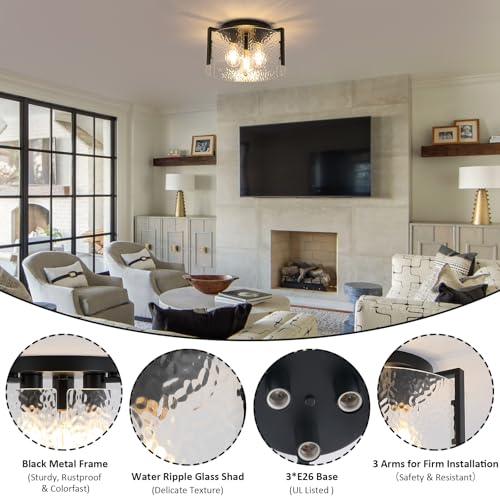 Black Flush Mount Ceiling Light Fixture