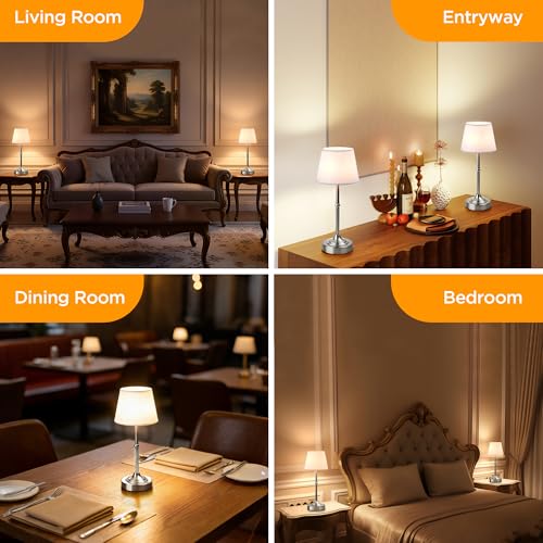 Cordless Table Lamp