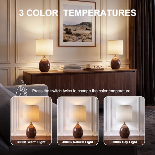 17.7" Ceramic Table Lamps Set of 2 for Living Room Bedroom (2 Count)