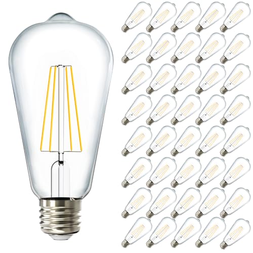 Sunco 40 Pack Edison Bulbs LED ST64 (40 Count)