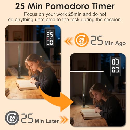 LED Desk Lamp for Office Home