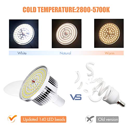 Softbox Photography Lighting Kit Professional Studio Equipment with 20"x28" Softbox