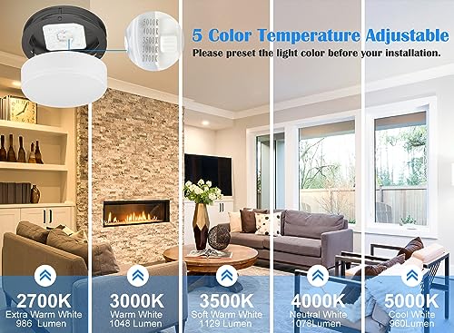 2 Pack Black Ceiling Light (2 Count)