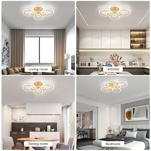 Modern LED Ceiling Light