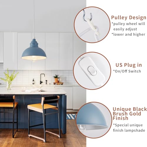 Plug in Pendant Light
