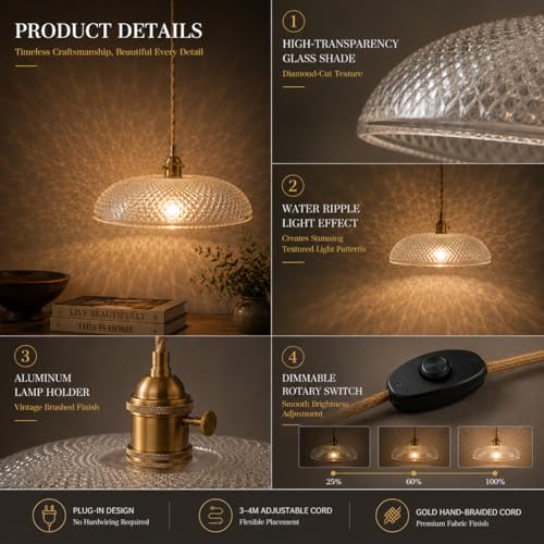Plug in Pendant Light