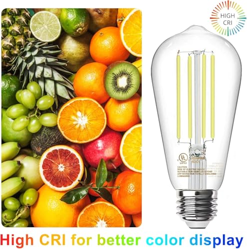 LED Edison Light Bulbs (20 Count)