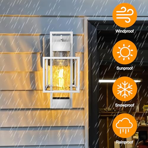 Modern Outdoor Light Fixtures Dusk to Dawn Outdoor Lighting 2 Pack (2 Count)