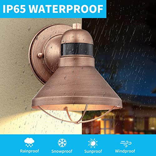 Motion Sensor Outdoor LED Barn Light Dusk to Dawn Exterior Wall Lantern