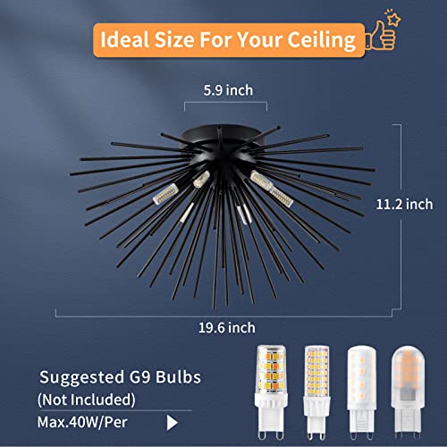 Black Flush Mount Ceiling Lights