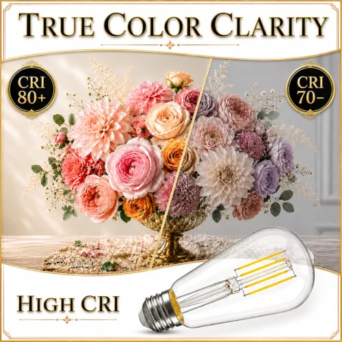 Vintage Edison LED Light Bulbs (4 Count)