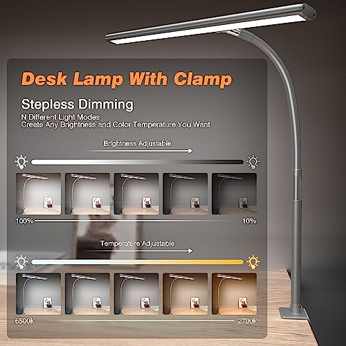 LED Desk Lamp with Clamp