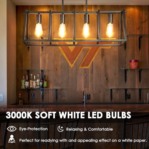 Vintage LED Edison Bulbs (6 Count)