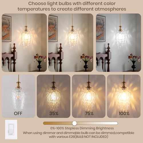 Modern Gold Pendant Lights (2 Count)