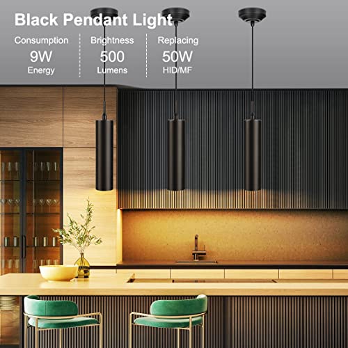 Black Pendant Light