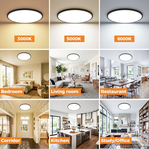 1PACK Flush Mount LED Ceiling Light Fixture Black